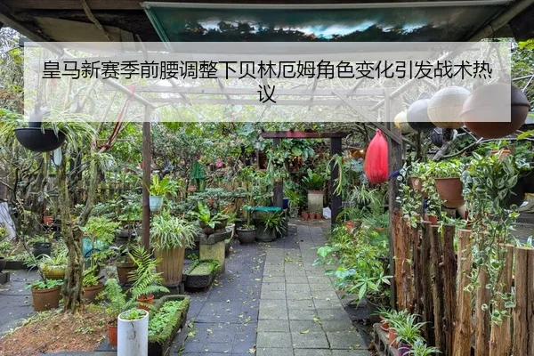 皇马新赛季前腰调整下贝林厄姆角色变化引发战术热议